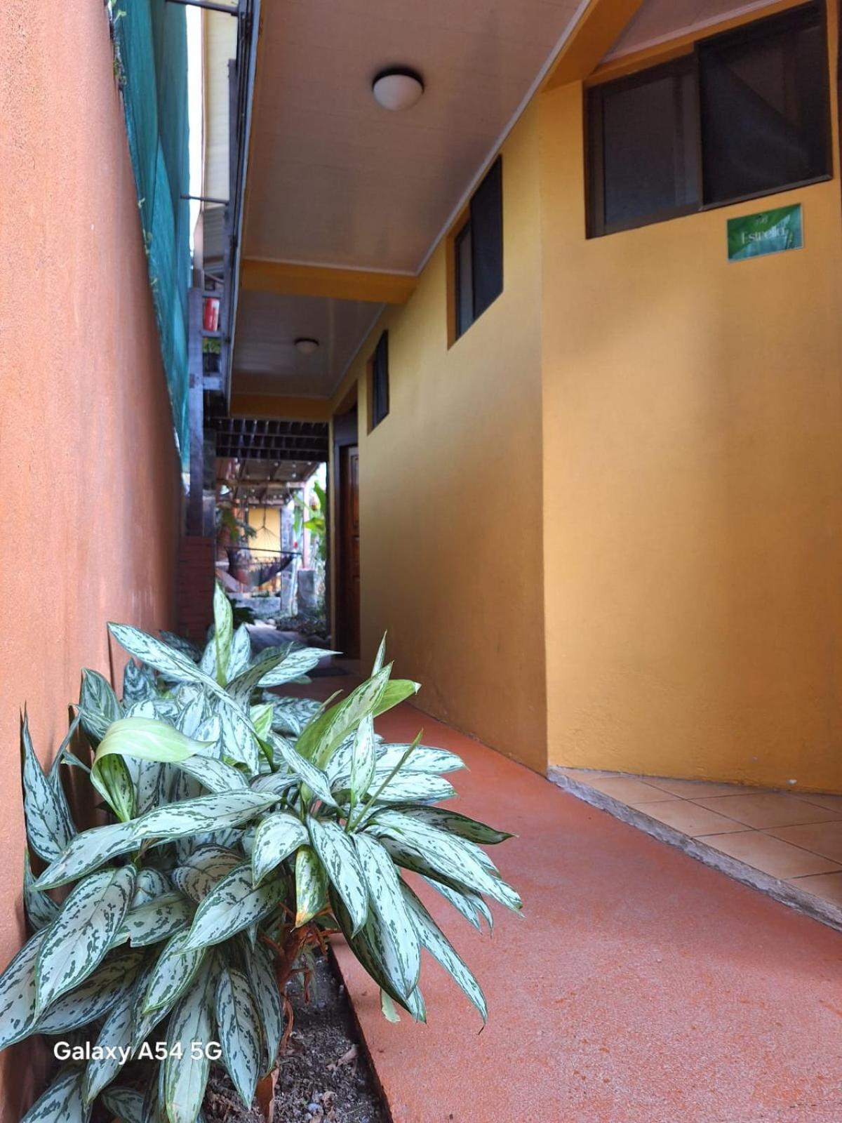 Iris Arenal Hotel La Fortuna Kültér fotó